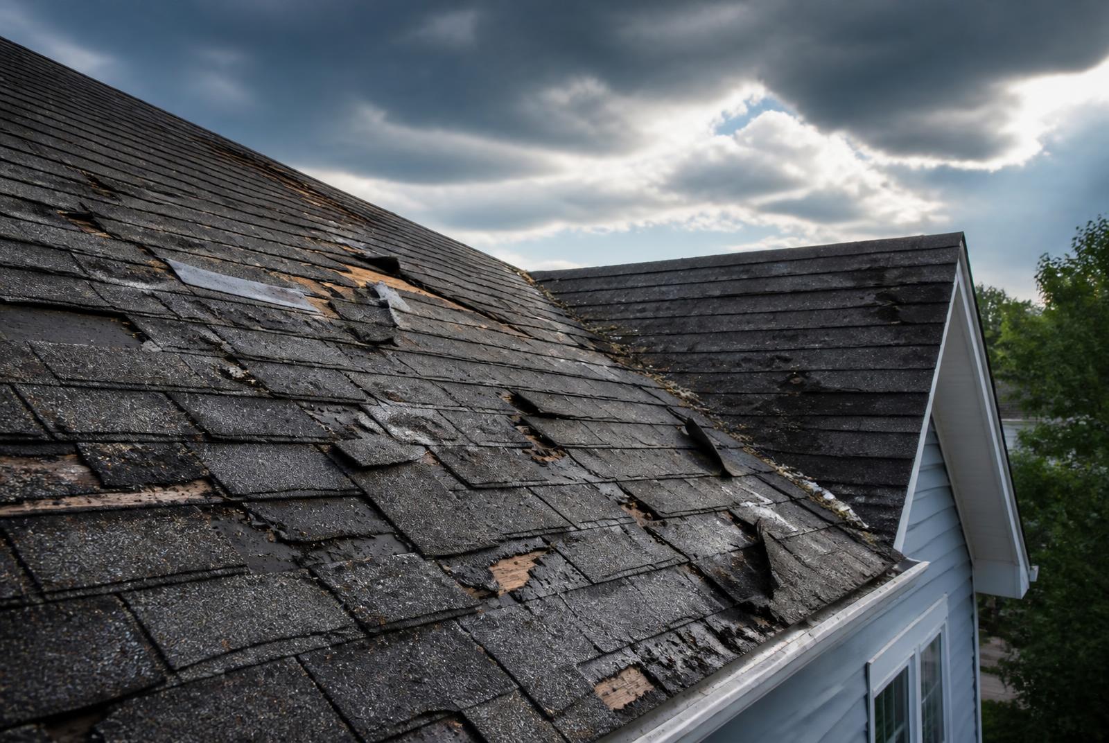 Storm Damage Repair by Delfi Roofing